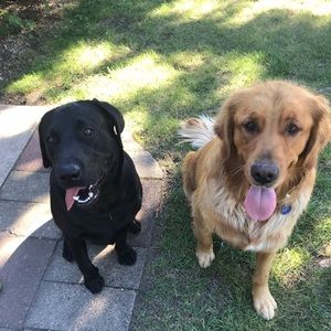 Meet your Posher, Richard